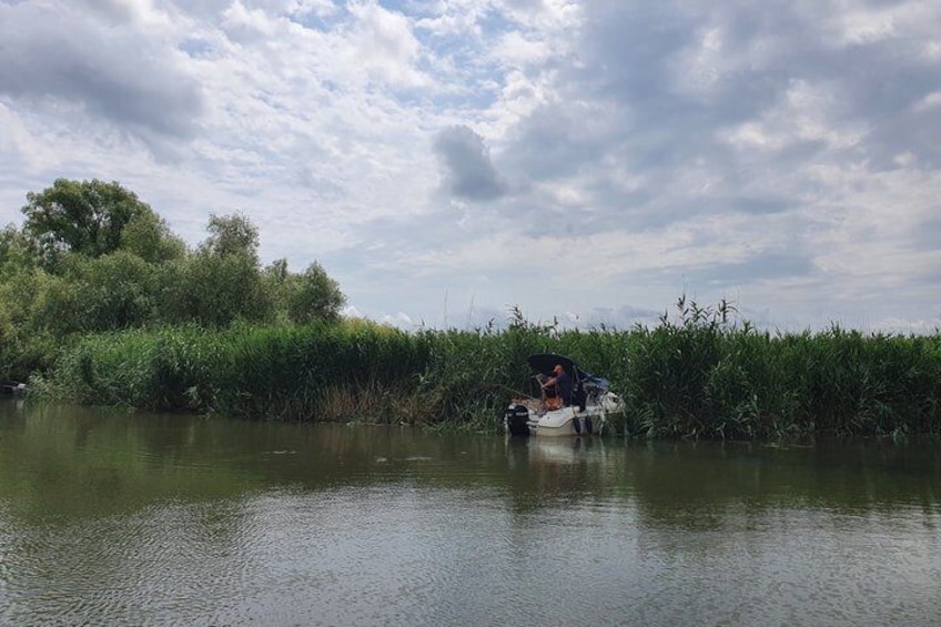A person in a boat on a calm river surrounded by dense vegetation. 4