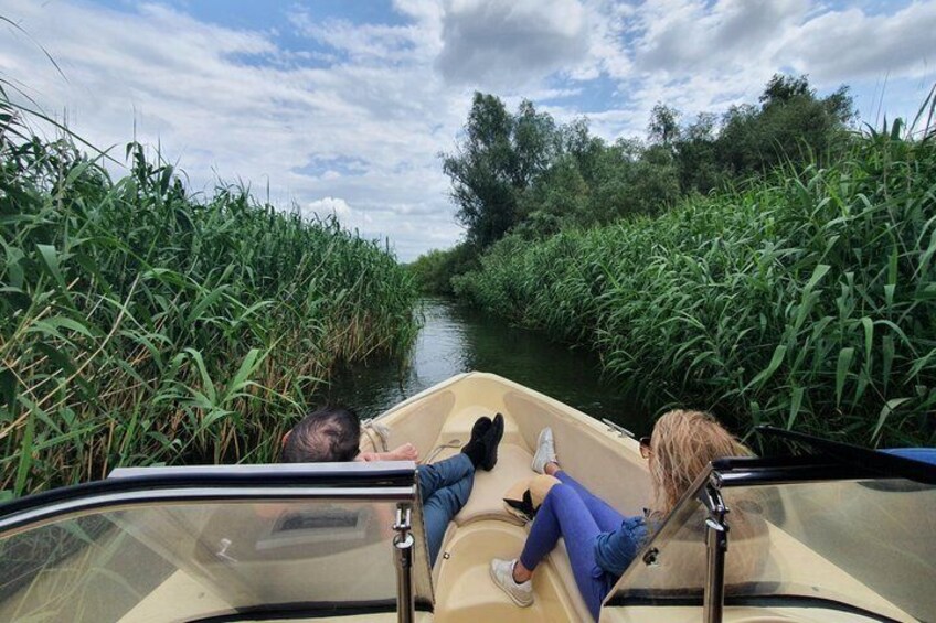 A narrow waterway flanked by tall vegetation, with a boat carrying passengers. 3
