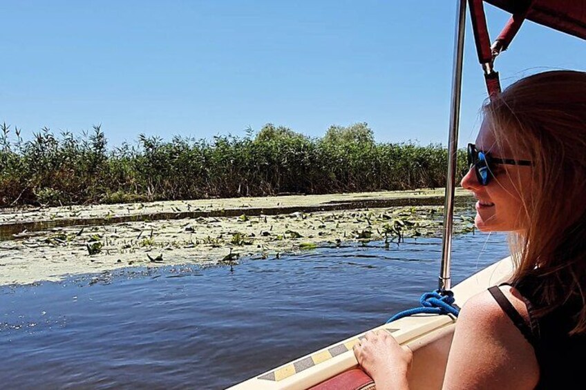A person on a boat with a view of a water body and a shoreline with vegetation. 4