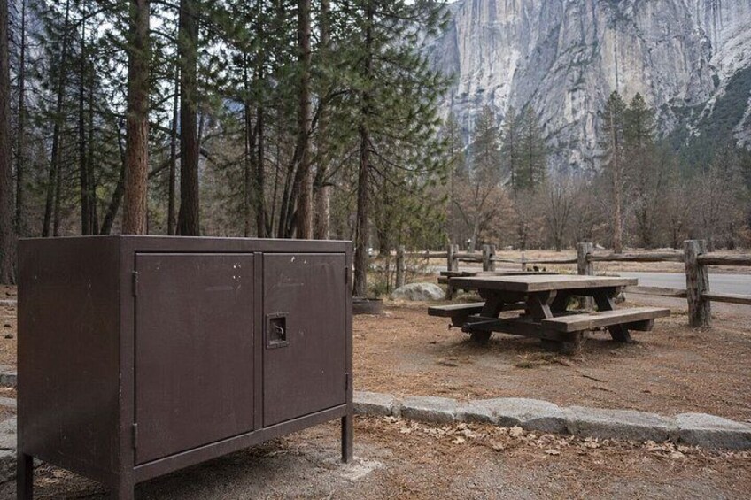 A metal storage unit and a picnic table in a forested area with a mountain in the background. 3