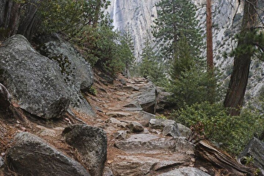 A rocky trail in a forested area with large boulders and trees. 3