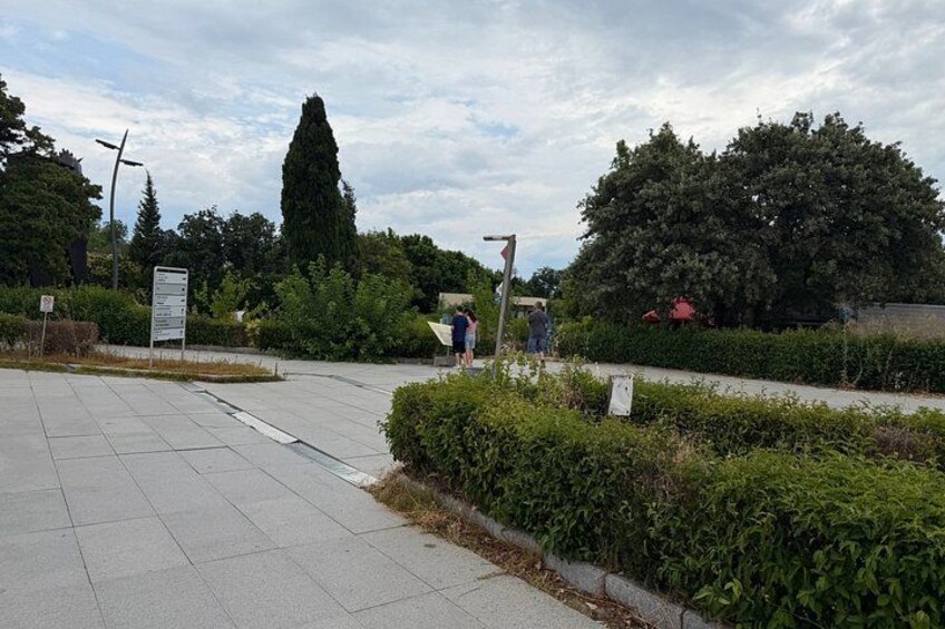 A paved walkway, a tall tree, and a group of people walking. 4