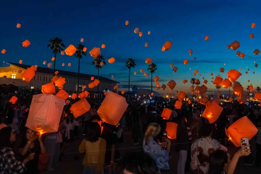 A crowd releasing paper lanterns into the sky at dusk. 5