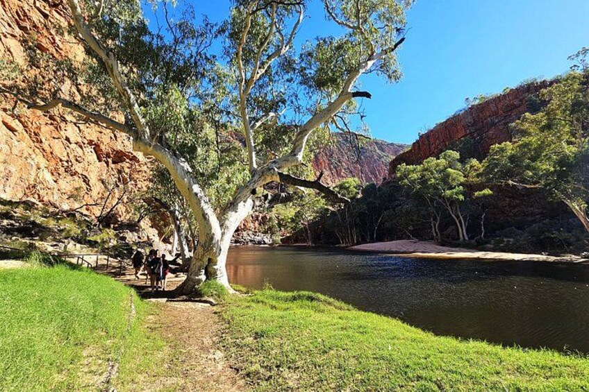 A riverbank with a large tree, a rocky cliff, and a clear blue sky. 5