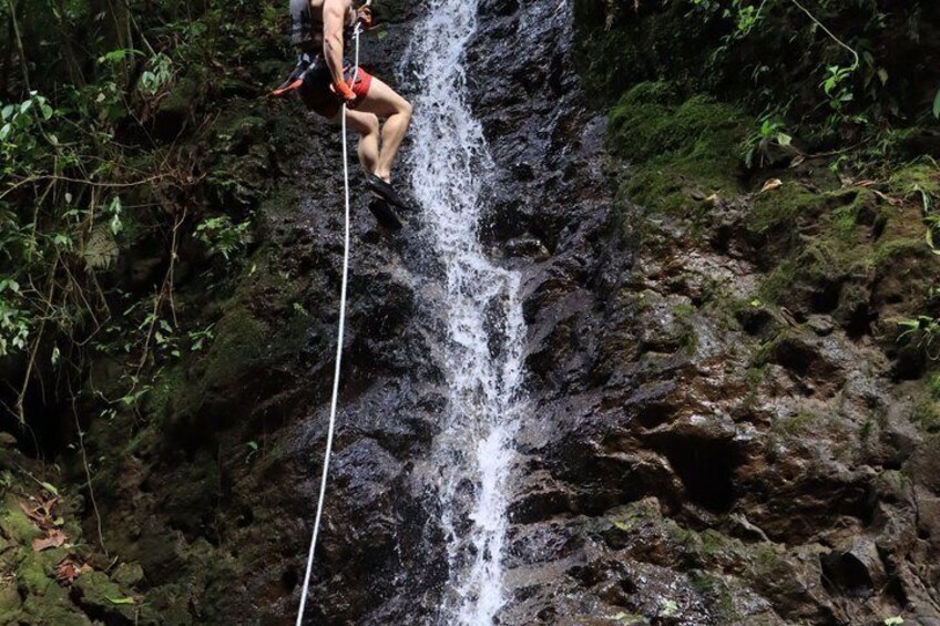 A person rappelling down a waterfall surrounded by dense foliage. 4
