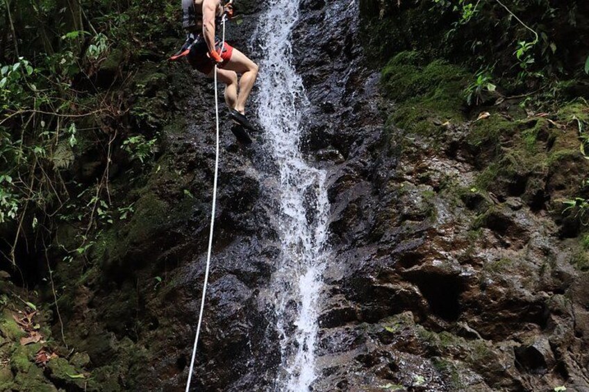 A person rappelling down a waterfall surrounded by dense foliage. 4