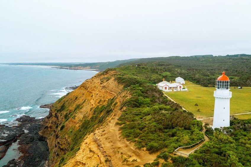 A coastal landscape with a lighthouse, grassy areas, and a rocky cliff. 1