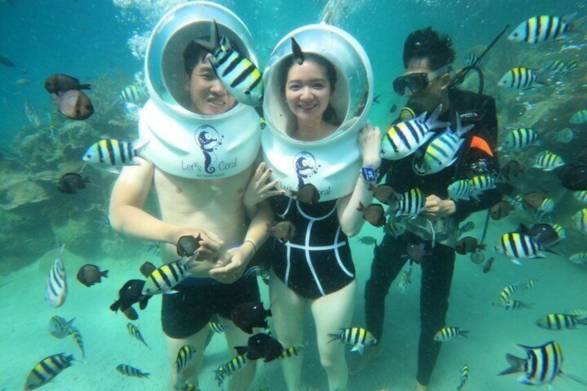 Two people in scuba diving gear surrounded by fish in a clear underwater environment. 2