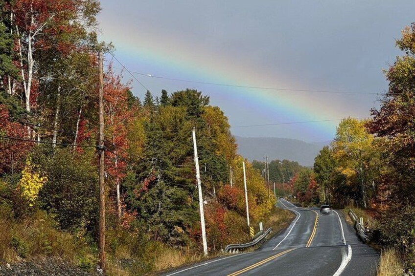 A road with a rainbow, surrounded by autumn trees and power lines. 2