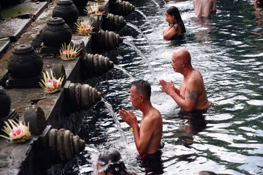 Ubud: Waterfalls, Water Temple & Rice Terraces Private Tour 2