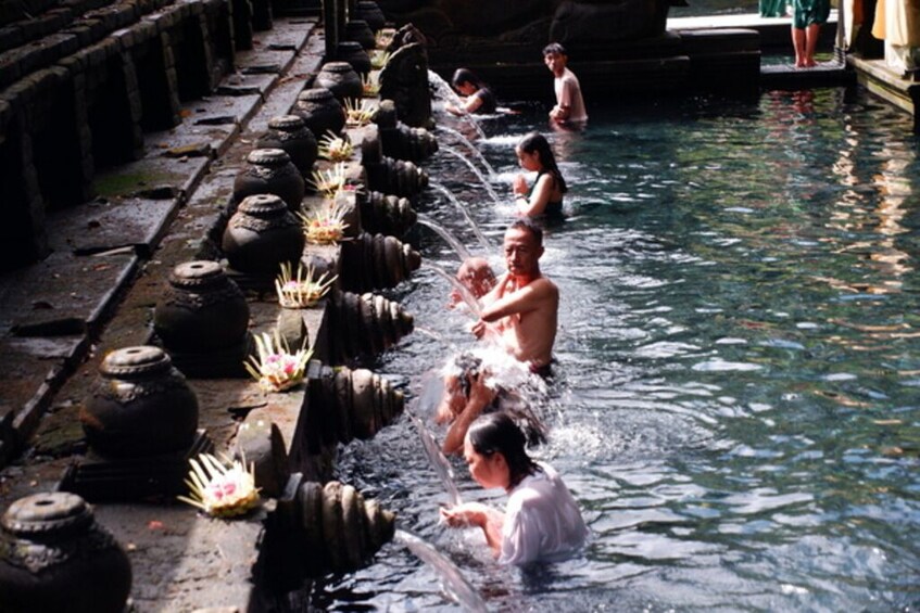 Ubud: Waterfalls, Water Temple & Rice Terraces Private Tour 1