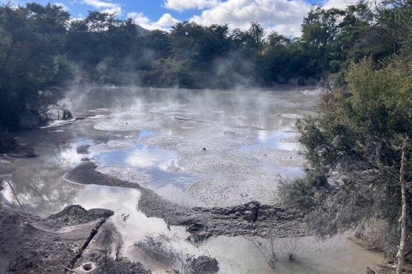 A geothermal area with steam rising from the ground, surrounded by trees and rocky terrain. 4