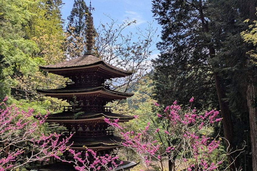 A traditional multi-tiered pagoda surrounded by lush greenery and blooming pink flowers. 5