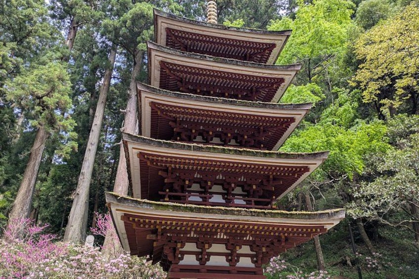 A traditional multi-tiered pagoda surrounded by lush greenery and tall trees. 1