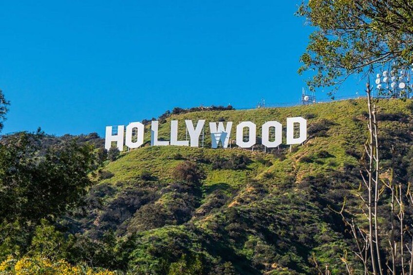 The Hollywood sign on a hill with trees and clear sky. 2