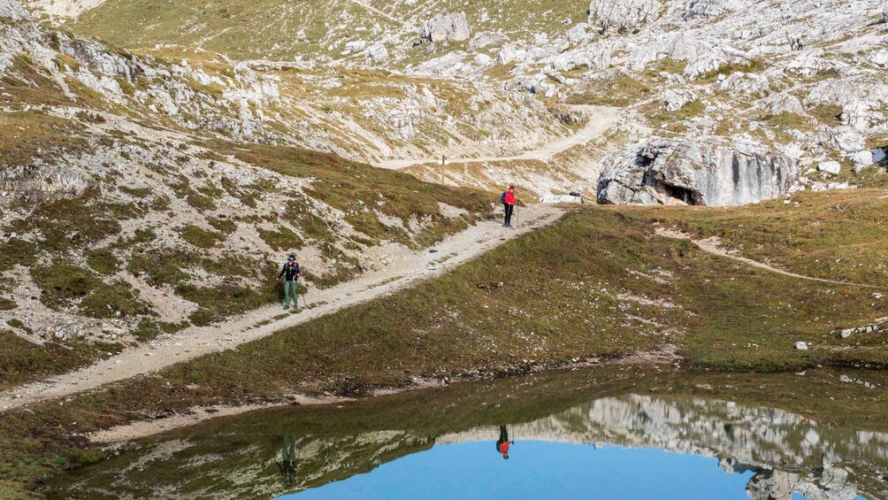 Picture 2 for Activity Dolomites Sensory Hiking Experience with a Local Guide 2