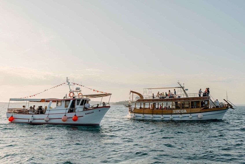 Picture 1 for Activity Pula: Brijuni Dolphin Sunset Cruise with DINNER & DRINKS 4