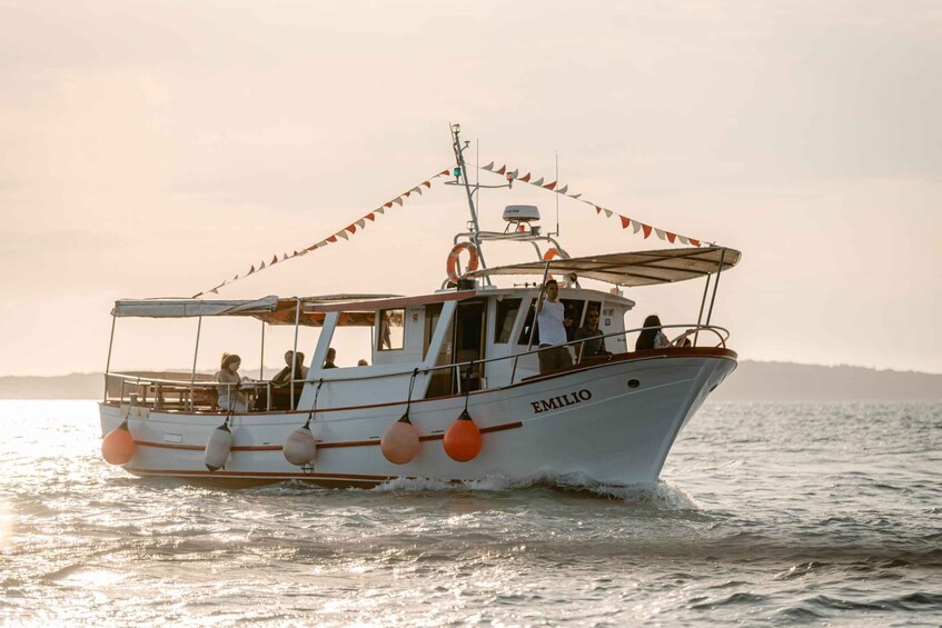 Picture 10 for Activity Pula: Brijuni Dolphin Sunset Cruise with DINNER & DRINKS 2