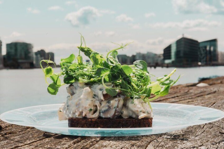Copenhagen Private Tour: Smørrebrød, Bikes & the Making of a City 4