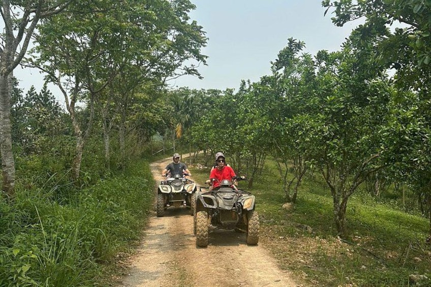 Two people riding ATVs on a dirt path surrounded by trees. 3