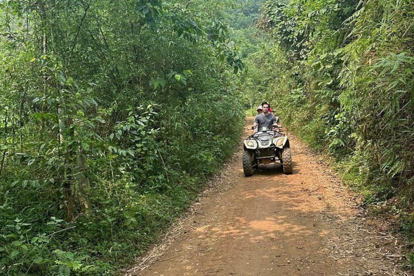 A person riding an ATV on a dirt path surrounded by dense green foliage. 4
