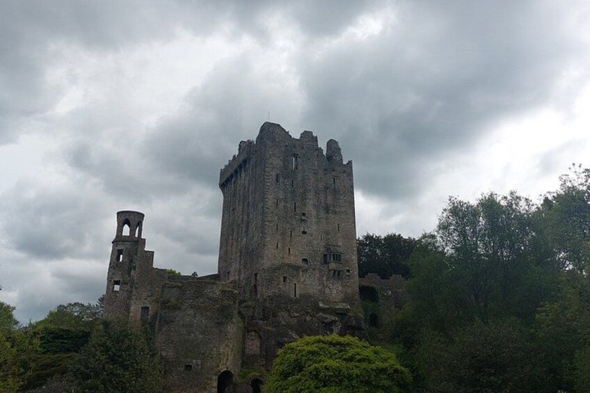 Private Castle Tour from Limerick 2