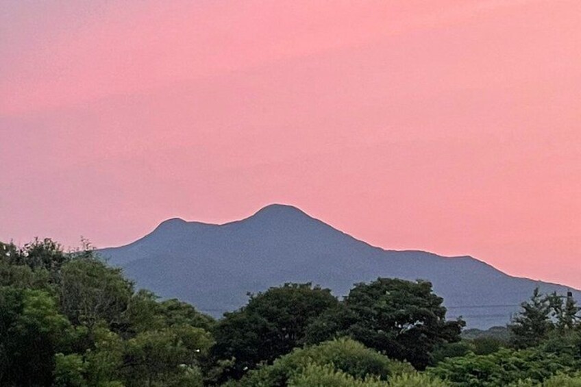 A mountain silhouette against a pink sky, surrounded by dense green foliage. 5
