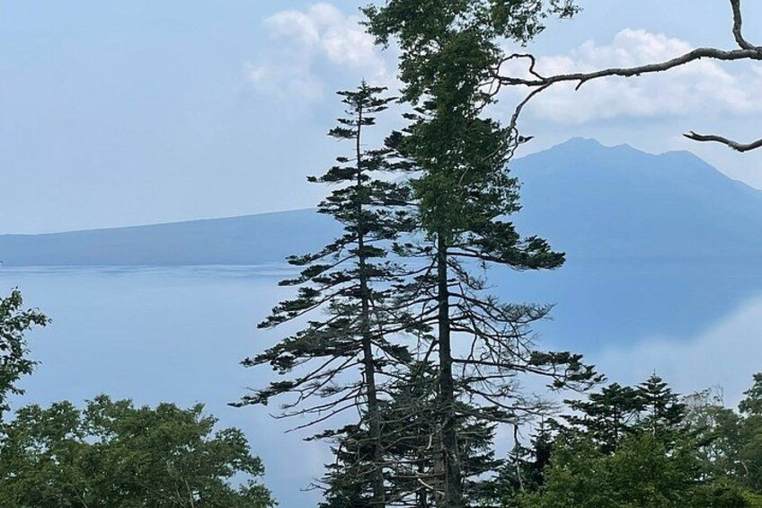 A tall pine tree in the foreground, a body of water, and a mountain in the background. 3