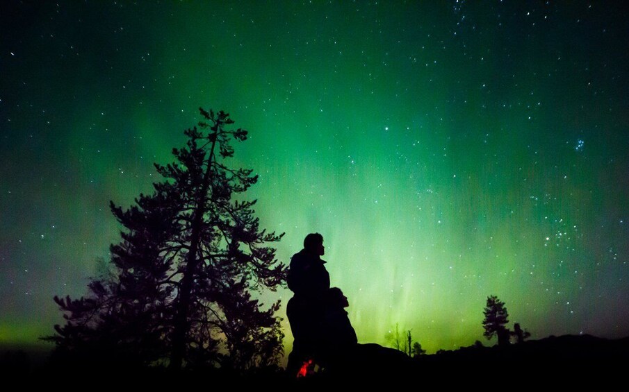 A silhouette of a person standing on a hill with trees, under a green aurora display. 5