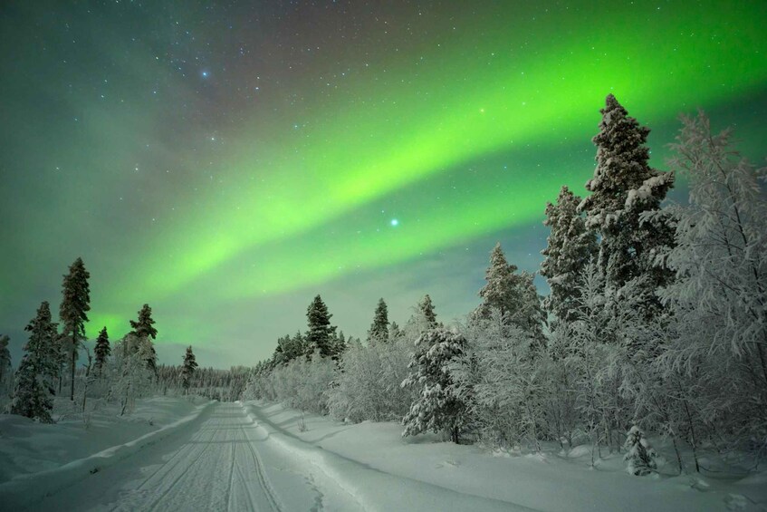 A snowy forest with a road under a green aurora. 2
