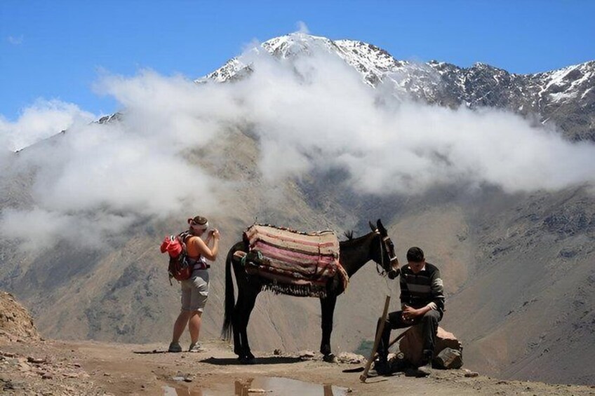 A person with a red backpack and another with a black backpack standing near a horse with a saddle, in a mountainous area with snow-capped peaks and clouds. 1