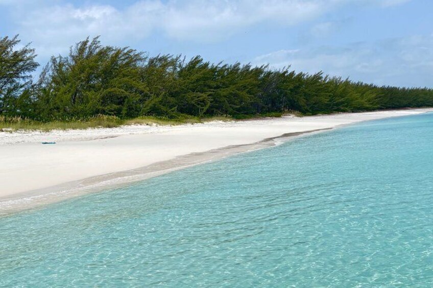 8 Hr Private Rose Island Tour Beach Snorkel Turtles Swimming Pigs 3