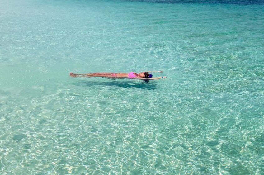 8 Hr Private Rose Island Tour Beach Snorkel Turtles Swimming Pigs 2