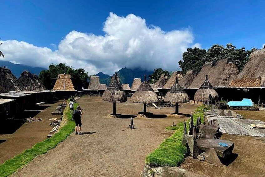 A rural village with thatched-roof huts and a dirt path. 4