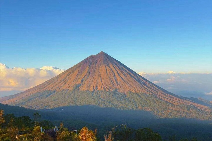 A mountain with a conical shape, surrounded by a forested area. 3