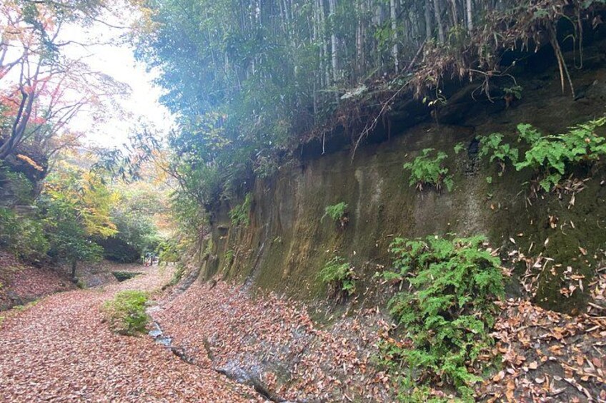 Essence of Kamakura From the samurai temples to the sea 4