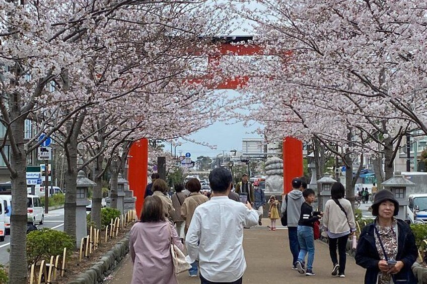Essence of Kamakura From the samurai temples to the sea 1