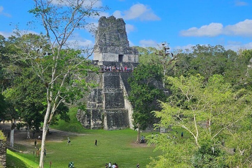 A Mayan pyramid surrounded by lush greenery. 3