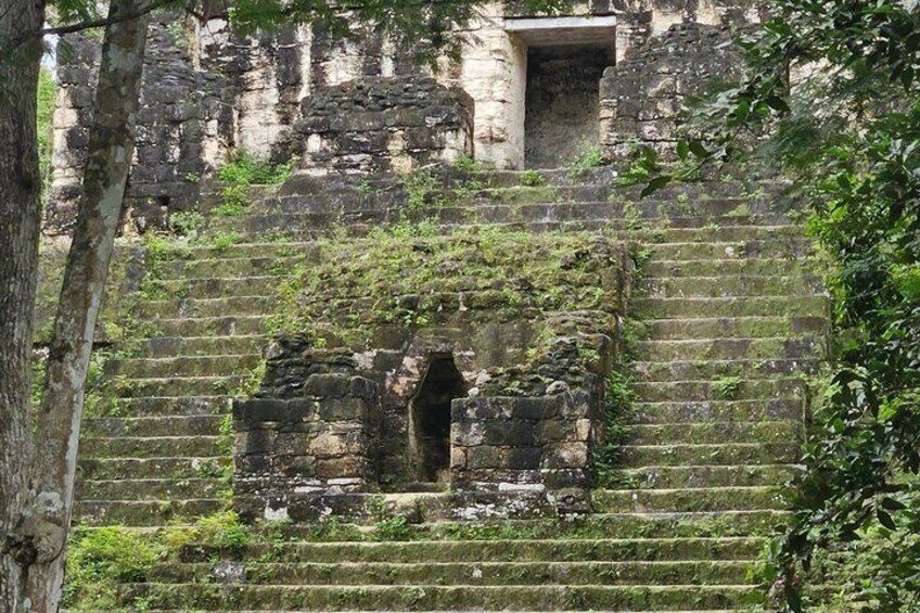 Ancient stone steps with a small opening, surrounded by greenery. 5
