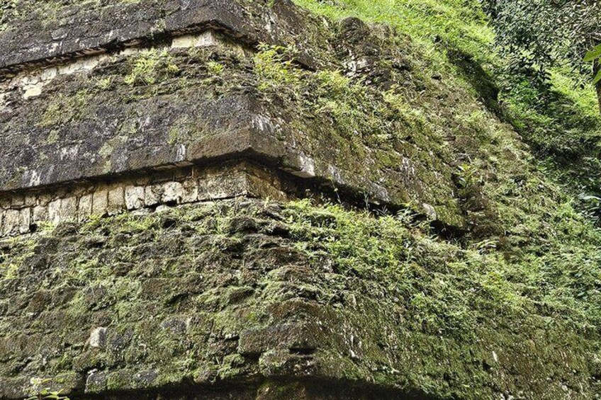 A moss-covered stone structure with a steep, vegetated slope. 4