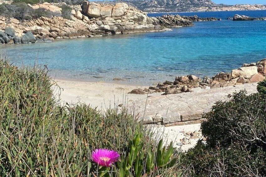 A coastal landscape with clear blue water, sandy beach, and rocky outcrops. 1