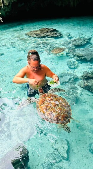 A person feeding a sea turtle in clear blue water with rocks. 3