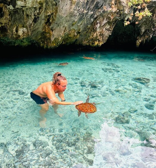 A person in clear water reaching out to a sea turtle. 2