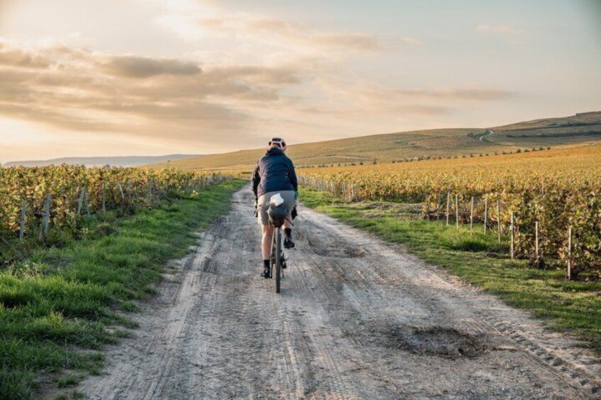 Guided bike tour in Saint-Malo 3h 5