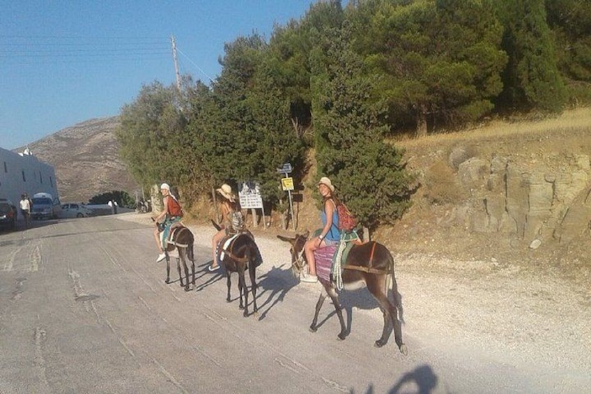 A road with three donkeys and riders. 1