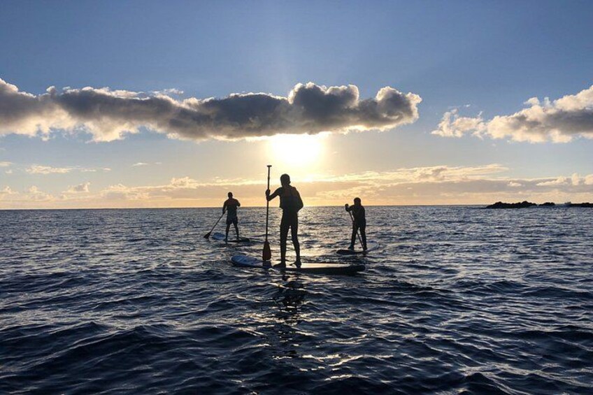 Three people paddleboarding on calm ocean waters during sunset. 3