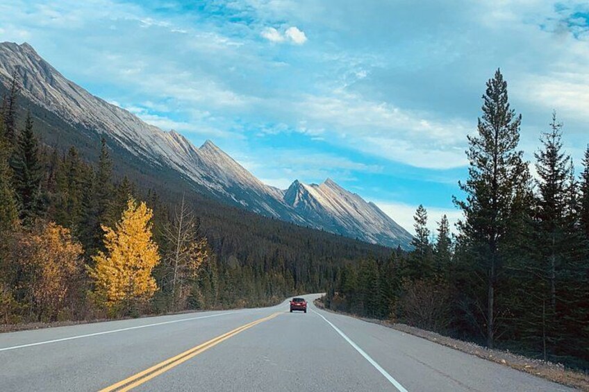 Lake Louise Jasper Columbia Icefield Athabasca Falls Peyto Tour 2