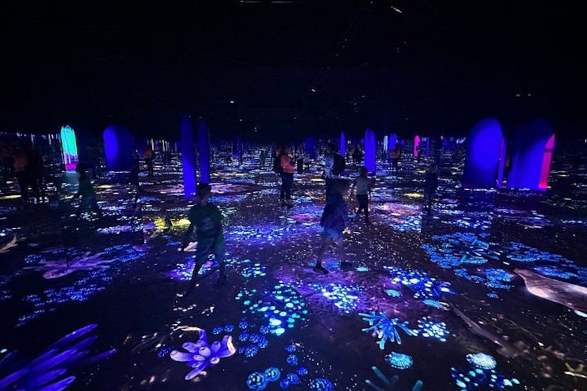Bubble Planet Immersive Interactive Experience in Washington DC 4