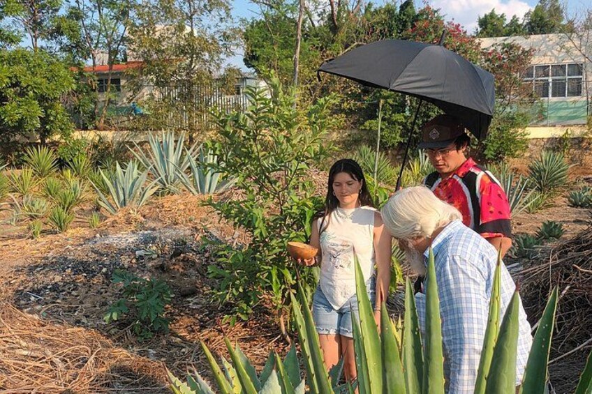 A group of people standing in a garden with various plants and a building in the background. 3