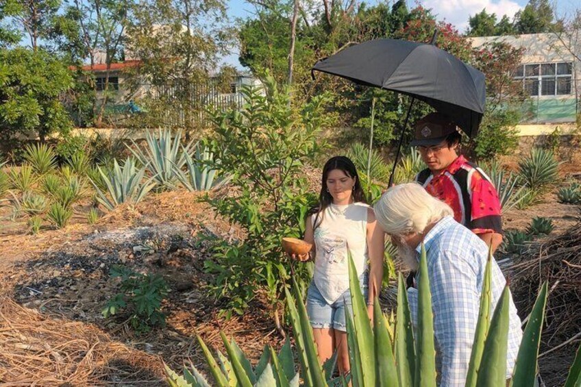Mezcal Distilleries Local Producers Palenque and Tasting 2